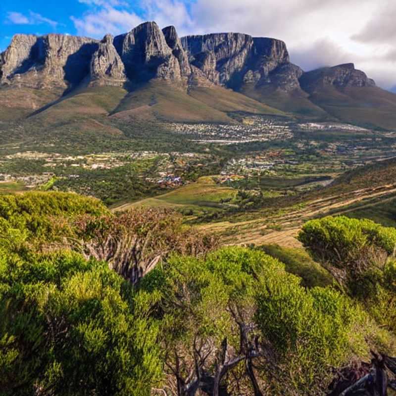 Descubra a Magia Insta&#45;Perfeita do Cathedral Peak no Verão Sul&#45;Africano!<h3>Cathedral Peak&#44; Africa do Sul&#58; Um Paraíso Instagramável para as suas Férias de Verão? (Sim&#44; e com dicas preciosas!)</h3><h3>Sol&#44; Montanhas e Likes&#58; O Cathedral Peak como cenário para as suas fotos de verão inesquecíveis!</h3><h3>A beleza deslumbrante do Cathedral Peak&#58; dicas para uma viagem segura e fotos incríveis para o seu Instagram!</h3><h3>Verão no Cathedral Peak&#58; Um roteiro inesquecível para viajantes cheios de estilo e amantes da natureza!</h3><h3>Mais que uma foto&#58; Experimente a magia do Cathedral Peak nas suas férias de verão na Africa do Sul!</h3>