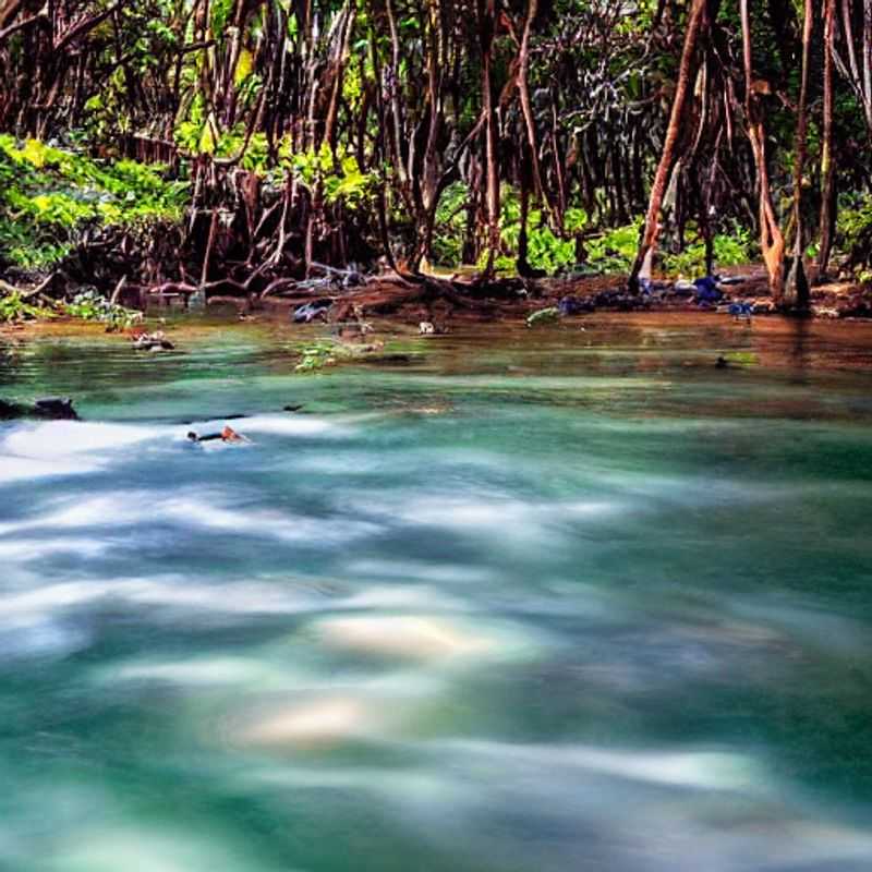 Uma visão vibrante da Floresta de Kirindy, Madagascar, com sua folhagem exuberante e vida selvagem intrigante, levantando a questão: é este paraíso o destino ideal para suas férias de verão? Descubra!