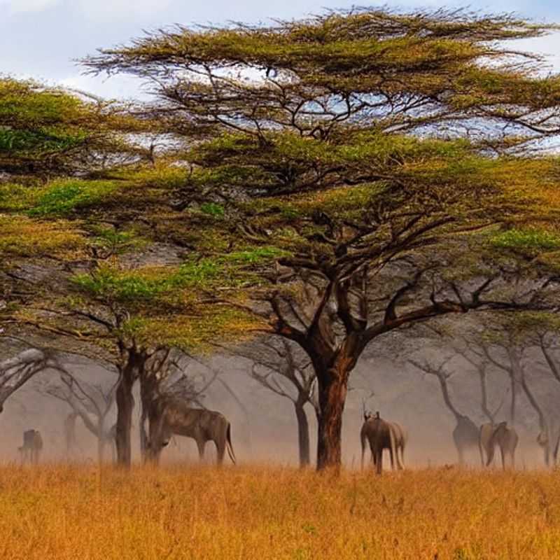 Dusty plains meet modern skyline: A giraffe grazes peacefully in Nairobi National Park, a surprisingly wild escape just minutes from Nairobi's urban hustle and bustle, showing off why it might just be your perfect summer holiday adventure.