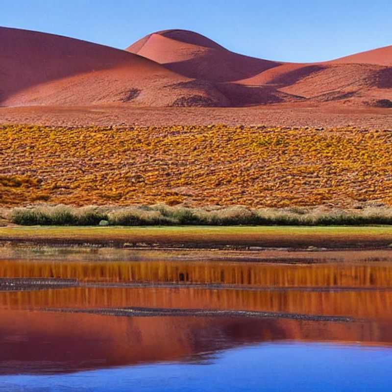Le Namib-Naukluft en été : un safari flamboyant sous le soleil namibien ?<h3>Namibie en été : Couleurs automnales et aventures sûres dans le Parc National de Namib-Naukluft</h3><h3>Sous le soleil namibien : Le Parc Namib-Naukluft, une destination estivale inattendue ?</h3><h3>Vacances d'été en Namibie : Le Namib-Naukluft, au-delà des dunes, une beauté surprenante</h3><h3>Safari estival en toute sécurité : Explorer le Namib-Naukluft, une expérience humaine et naturelle</h3>