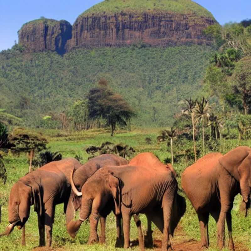 Unplug and Reconnect&#58; Luxurious Privacy for Groups in Mount Elgon<h3>Mount Elgon's Hidden Gems&#58; Exclusive Luxury for Your Social Media&#45;Savvy Group</h3><h3>Escape the Crowd&#58;  Finding Seclusion &#38; Stunning Shots in Mount Elgon</h3><h3>Uganda &#38; Kenya's Best&#45;Kept Secret&#58; A Luxurious Group Escape to Mount Elgon</h3><h3>Luxury Lodges &#38; Breathtaking Views&#58;  Mount Elgon's Perfect Social Media Retreat</h3><h3>Beyond the Hashtag&#58;  Authentic Experiences &#38; Unforgettable Photos in Mount Elgon</h3><h3>Your Group's Private Paradise&#58; Discovering the Untouched Beauty of Mount Elgon</h3><h3>Social Media Dreams &#38; Real&#45;Life Adventures&#58;  A Luxurious Mount Elgon Journey</h3><h3>Safe Travels &#38; Stunning Content&#58;  Planning Your Exclusive Mount Elgon Group Trip</h3><h3>Disconnect to Connect&#58; Finding Peace &#38; Picture&#45;Perfect Moments in Mount Elgon</h3>