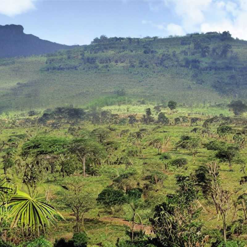 Luxury Shopping &#38; Stunning Backdrops&#58; Mount Elgon's Best Spots for Groupies &#38; the 'Gram<h3>Mount Elgon's Hidden Gems&#58; Luxury Shopping for the Sociable Traveler</h3><h3>Uganda &#38; Kenya's Best&#45;Kept Secret&#58; Luxury Shopping &#38; Insta&#45;Worthy Views in Mount Elgon</h3><h3>Group Travel &#38; Glam&#58; Unveiling Mount Elgon's Luxury Shopping Scene</h3><h3>Safe &#38; Stylish&#58; Your Guide to Luxury Shopping in Mount Elgon for Group Adventures</h3><h3>Beyond the Safari&#58; Discovering Luxury &#38; Social Media Gold in Mount Elgon</h3><h3>Luxury Shopping with a View&#58; Mount Elgon's Perfect Spots for Group Photos &#38; Purchases</h3><h3>Exploring Mount Elgon&#58; Luxury Finds &#38; Social Media Moments for the Group Traveler</h3><h3>Your Ultimate Mount Elgon Itinerary&#58; Luxury Shopping&#44; Stunning Views&#44; and Group Fun</h3><h3>Unforgettable Experiences&#58; Luxury Shopping &#38; Social Media Magic in Mount Elgon (Uganda/Kenya)</h3>