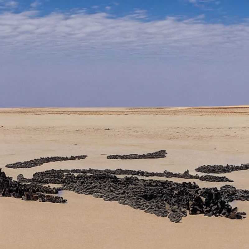La sobrecogedora belleza de la Costa de los Esqueletos en Namibia, con sus barcos varados y paisajes desolados, planteando la pregunta: ¿Un destino ideal para las vacaciones de verano?