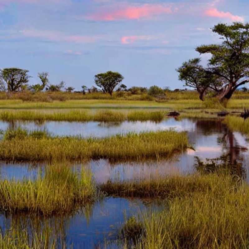 Okavango Delta no Verão: Um Refresco Cultural (e Talvez um Mistério!)<h3>O Delta do Okavango em Julho: Sol, Safáris e... Segredos Ancestrais?</h3><h3>Festivals de Outono vs. Calor do Okavango: Aventura ou Serenidade?</h3><h3>Época das Chuvas no Okavango: Um Paraíso Perdido (e Encontrado)?</h3><h3>Okavango no Verão: Mais do que Sol, uma Imersão na Cultura! (Dicas de Segurança Incluídas!)</h3><h3>Delta do Okavango: Verão, Calor e... Lendas que Esperam Ser Desvendadas!</h3><h3>Aventuras de Verão no Okavango: Onde a História Encontra a Natureza (com um toque de humor!)</h3>