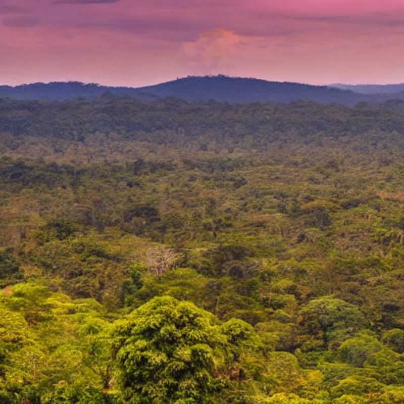 Loango en été ? Oui, mais… découvrez les charmes de l’automne !<h3>Loango National Park au Gabon : un été moins cher et plus serein ?</h3><h3>Vacances d'été à Loango : le secret d'un séjour paisible et abordable</h3><h3>Partir à Loango en été : frais réduits et nature préservée</h3><h3>Loango National Park: Été ou automne ? Votre guide pour un voyage réussi au Gabon</h3><h3>Gabon, Loango : automne, la saison secrète pour un voyage inoubliable</h3><h3>Hébergements et prix : pourquoi l’automne est idéal pour explorer Loango</h3><h3>Loango en été vs automne : quel est le meilleur moment pour visiter ce paradis gabonais ?</h3><h3>Voyage au Gabon : Loango National Park – automne, la saison des doux prix et des découvertes exceptionnelles</h3><h3>Découvrez Loango au Gabon : Été ou automne, la question du voyage idéal</h3>
