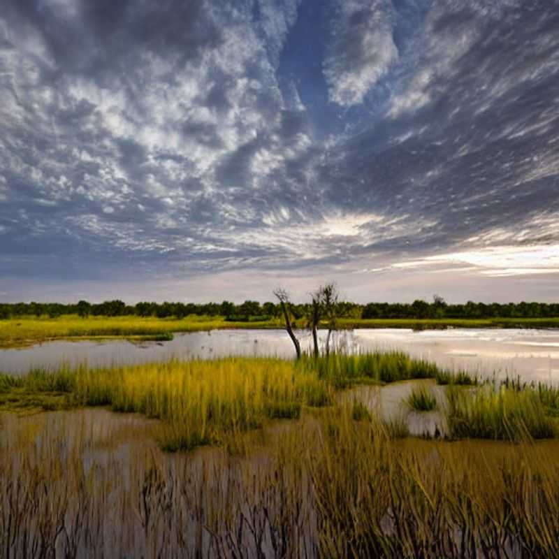 Okavango Delta, Botswana : Paradis sur Terre même avec un budget limité - Deux amis découvrent les beautés sauvages et insoupçonnées de ce joyau africain, en explorant la nature luxuriante et en immortalisant des moments instagrammables, la faune unique et des couchers de soleil épiques, prouvant que le luxe peut aussi être une aventure abordable.