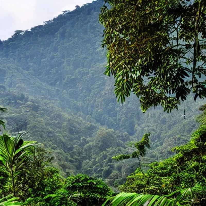 Bwindi Impénétrable en été : Accessible et facile à explorer ?<h3>Vacances d’été à Bwindi : Transport et accessibilité pour tous</h3><h3>Bwindi en été : Votre guide pour un voyage facile et sûr</h3><h3>Explorer Bwindi en toute simplicité : Conseils pour un été inoubliable</h3><h3>Bwindi Impénétrable : Accessible et confortable pendant les vacances d’été</h3><h3>L’été à Bwindi : Découvrir la forêt sans effort</h3><h3>Voyage accessible à Bwindi : Votre été en toute sérénité</h3><h3>Bwindi et l’été : Facilité de transport et sécurité pour une expérience unique</h3>