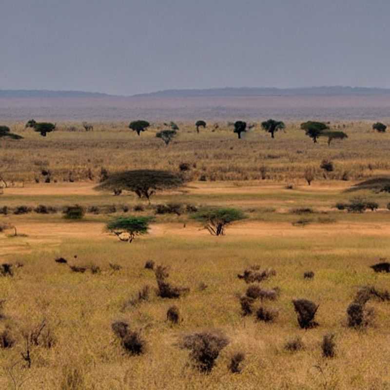 Kidepo en été &#58; soleil&#44; safari et... horaires réduits ?<h3>Vacances d'été à Kidepo Valley &#58; préparez&#45;vous à l'aventure (et aux possibles fermetures !)</h3><h3>Kidepo Valley en été &#58;  Safari sous le soleil&#44;  avec quelques ajustements pratiques</h3><h3>Explorer Kidepo Valley en été &#58;  Tout savoir sur les horaires et les conditions estivales</h3><h3>Safari estival à Kidepo &#58;  Soleil&#44; faune et flexibilité !</h3><h3>Kidepo Valley &#58; votre safari d'été&#44; serein et sécurisé</h3><h3>Vacances ensoleillées à Kidepo &#58;  Informations essentielles pour un voyage réussi</h3><h3>Aventure à Kidepo Valley &#58;  Profitez de l'été malgré les horaires variables</h3><h3>Le parc Kidepo en été &#58;  Un safari inoubliable malgré les fermetures possibles</h3><h3>Votre été à Kidepo &#58; un voyage sécurisé et riche en découvertes&#44; malgré les possibles ajustements d'horaires</h3>