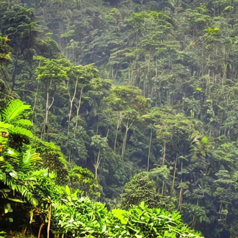 Nyungwe Forest in Summer: A Chimpanzee's-Eye View of Your Perfect Holiday<h3>Nyungwe National Park in Summer: Longer Days, More Adventures!</h3><h3>Beat the Tourist Rush: Your Budget-Friendly Summer Escape to Nyungwe</h3><h3>Rwanda's Hidden Gem: Nyungwe Forest National Park for a Unique Summer Holiday</h3><h3>Exploring Nyungwe Forest: A Summer Itinerary for the Curious Traveler</h3><h3>Safe & Smart Travel in Nyungwe: Tips for a Smooth Summer Adventure</h3><h3>Unveiling Nyungwe's Secrets: A Cultural Journey Through Rwanda's Green Heart (Summer Edition)</h3><h3>Beyond the Trails: Authentic Experiences in Nyungwe National Park this Summer</h3><h3>Nyungwe Forest National Park: Is it Right for Your Summer Holiday? A Practical Guide</h3><h3>Summer in Nyungwe: Maximizing Your Time & Minimizing Your Spending</h3>