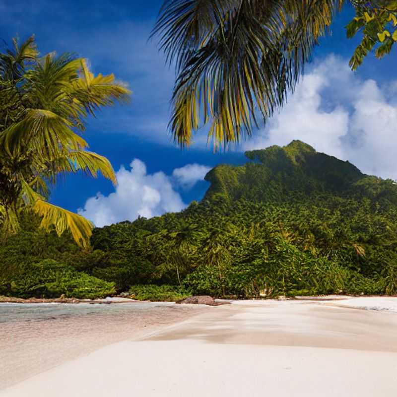 Seychelles on a Shoestring&#58; Unveiling Mahé's Luxe Social Media Spots for the Budget Traveler<h3>Mahé's Hidden Gems&#58; Luxury Social Media Shots Without the Luxury Price Tag</h3><h3>Island Paradise on a Budget&#58; Instagrammable Seychelles Without Breaking the Bank</h3><h3>Affordable Elegance&#58; Discovering Mahé's Best Kept Secrets for the Savvy Traveler</h3><h3>Seychelles Social Media Success&#58; My Budget&#45;Friendly Guide to Insta&#45;Worthy Mahé</h3><h3>Luxury Looks&#44; Budget&#45;Friendly Bliss&#58;  My Mahé Island Social Media Adventure</h3><h3>From Budget Traveler to Social Media Star&#58; My Seychelles Mahé Experience</h3><h3>Chasing Sunsets and Likes&#58; Affordable Luxury in Mahé&#44; Seychelles</h3><h3>Unlocking Mahé's Glamour&#58; Budget&#45;Friendly Tips for Stunning Social Media Content</h3><h3>My Seychelles Secret&#58; Affordable Luxury and Unforgettable Social Media Moments in Mahé</h3>