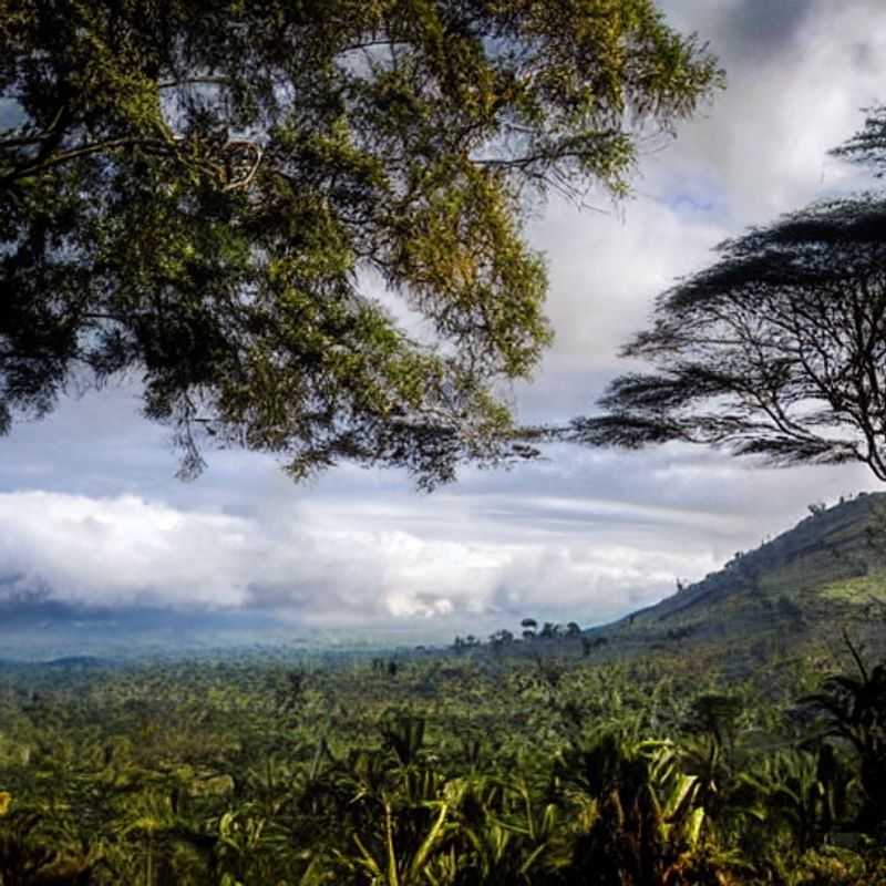 O Monte Elgon, Uganda/Quénia: Um Refúgio Inesperado para Férias de Verão (e com Neve!)<h3>Descubra o Magia do Monte Elgon: Neve, Paisagens Invernosas e o Calor do Verão Africano</h3><h3>Monte Elgon: Surpreenda-se com a Beleza Invernal em Suas Férias de Verão na Africa</h3><h3>Férias de Verão no Monte Elgon: Aventura Segura e Paisagens de tirar o Fôlego (mesmo com neve!)</h3><h3>Aventura Familiar no Monte Elgon: Neve, Sol e a Emoção da Exploração na Africa</h3><h3>Uganda/Quénia: Monte Elgon - Paraíso Inesperado para Férias de Verão (com um toque de inverno!)</h3><h3>Viaje com Segurança e Alegria: Desvende os encantos do Monte Elgon no seu Verão Africano</h3><h3>Monte Elgon: Uma Jornada de Descoberta, Conforto e Emoção nas suas férias de verão</h3><h3>Paraíso Escondido: Explore o Monte Elgon e seus encantos de inverno em suas férias de verão</h3><h3>Monte Elgon: Verão Africano com um toque mágico de inverno - Uma viagem inesquecível!</h3>