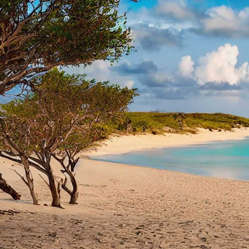 Plongez dans le paradis ! Eaux turquoise et plages immaculées de l'île de Bazaruto, Mozambique, un joyau pour vos vacances d'été, à explorer absolument !