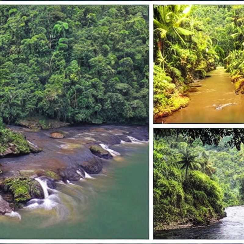 Le climat méditerranéen : un été idéal au Parc National de Loango, Gabon ?<h3>Loango en été : soleil gabonais et températures douces – mon expérience personnelle</h3><h3>Vacances d'été au Gabon : Loango, un paradis préservé sous le soleil méditerranéen</h3><h3>Parc National de Loango : Conseils pour un séjour estival sûr et enchanteur</h3><h3>Découvrir Loango en été : beauté sauvage et températures agréables</h3><h3>Voyage estival au Gabon : Loango, un joyau africain sous le soleil</h3><h3>L'été à Loango : aventure, nature et sécurité – un récit de voyage</h3><h3>Soleil et sérénité : mon escapade estivale au Parc National de Loango</h3><h3>Loango, Gabon : un été inoubliable au cœur de l'Afrique</h3><h3>Paradis tropical : est-ce que le Parc National de Loango est fait pour vos vacances d'été ?</h3>