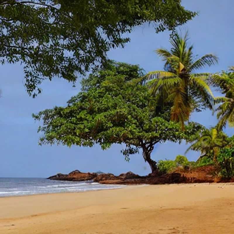 ¿Otoño en el Archipiélago de Bijagós? ¡Un Romance bajo el Sol de Guinea-Bissau!<h3>Bijagós en Verano: ¿Paraíso Tropical o Aventura Cautelosa?</h3><h3>El Archipiélago de Bijagós: ¿Un Refugio de Otoño o un Edén Estival? (Mi Experiencia Personal)</h3><h3>Guinea-Bissau: Más Allá de las Playas - Explorando el Archipiélago de Bijagós en Otoño</h3><h3>Romance y Aventura en Guinea-Bissau: ¿Bijagós en Verano o en Otoño? (La Guía Definitiva)</h3><h3>Otoño en el Corazón de Africa: Descubriendo el Encanto del Archipiélago de Bijagós</h3><h3>El Archipiélago de Bijagós: Un Viaje Seguro y Romántico, Sea Verano u Otoño</h3>