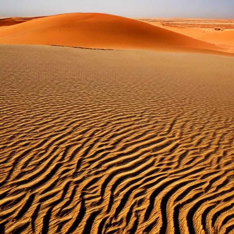 Golden dunes stretching endlessly under the summer sun in the Sahara Desert, Morocco/Tunisia: a truly unforgettable, if hot, holiday adventure. Is it the right fit for you? Let's explore!