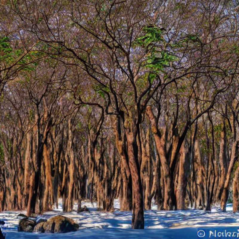 Luxury amidst the rugged beauty: Capture unforgettable Instagram moments at Isalo National Park, Madagascar, where eco-conscious adventure meets high-end comfort for the discerning traveler.