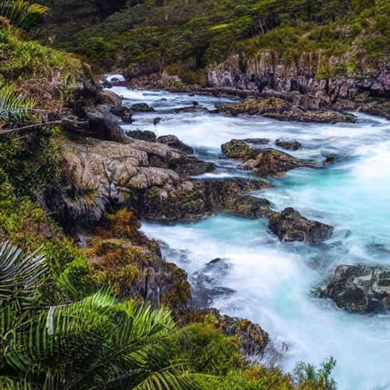 Tsitsikamma in Summer&#58; A Blooming Good Time? Your Expert Guide to a Safe &#38; Budget&#45;Friendly Adventure<h3>Sun&#44; Sea&#44; and Serenity&#58; Is Tsitsikamma National Park the Perfect Summer Escape for You?</h3><h3>Exploring Tsitsikamma's Summer Bloom&#58; Avoiding Tourist Traps &#38; Discovering Authentic South Africa</h3><h3>Beat the Heat &#38; the Crowds&#58; A Practical Guide to a Safe &#38; Economical Tsitsikamma Summer Holiday</h3><h3>Beyond the Beaches&#58; Unveiling the Hidden Gems of Tsitsikamma National Park in Summer</h3><h3>Tsitsikamma's Summer Secrets&#58;  A Cultural &#38; Historical Journey Through South Africa's Coastal Paradise</h3><h3>Summer in Tsitsikamma&#58;  Tips for Safe &#38; Responsible Travel&#44; Maximizing Your Experience on a Budget</h3><h3>Immerse Yourself&#58;  A Local's Perspective on Experiencing Tsitsikamma National Park During the Summer Months</h3>