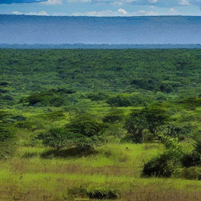 Akagera National Park in Summer: Sun, Showers, and Safari Splendor!<h3>Rwanda's Akagera: A Summer Holiday Under the African Sun (and a Few Clouds!)</h3><h3>Is Akagera National Park Right for Your Summer Escape? Weather & Wildlife Wonders Await!</h3><h3>Planning a Summer Safari in Akagera: Embrace the Unexpected Rain Showers!</h3><h3>My Akagera Summer Adventure: A Guide to Navigating the Weather and Maximizing Your Fun</h3><h3>Akagera National Park: Summer Safari Secrets – Weather-Wise Tips for an Unforgettable Trip</h3><h3>Sun, Showers & Safari: A Personal Account of a Summer Holiday in Rwanda's Akagera</h3><h3>Beyond the Rain: Discovering the Magic of Akagera National Park During Summer</h3>