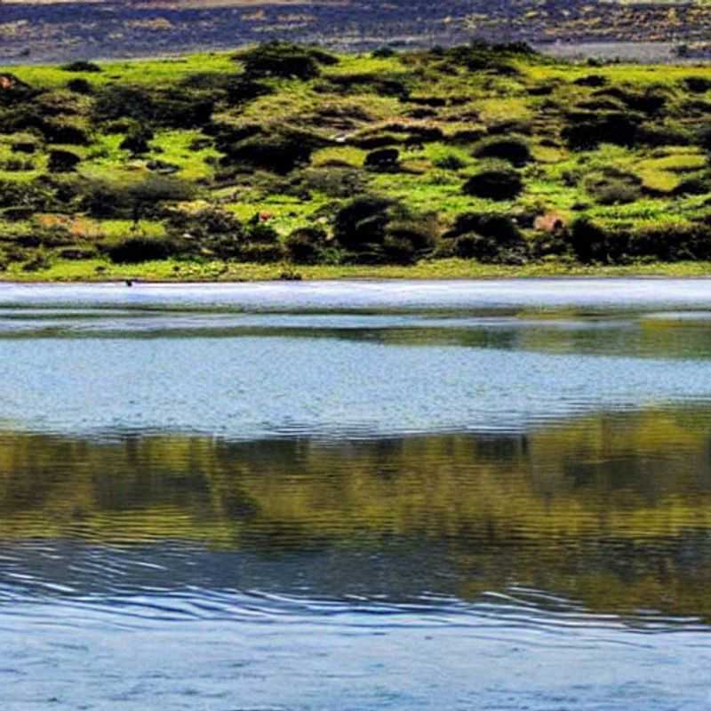 Lake Nakuru in Summer&#58; A Kenyan Sun&#45;Kissed Escape!<h3>Sun&#45;Drenched Adventures&#58; Is Lake Nakuru the Perfect Summer Getaway?</h3><h3>Flamingos and Fun&#58; Your Guide to a Safe and Sunny Lake Nakuru Holiday</h3><h3>Kenya's Summer Jewel&#58; Exploring Lake Nakuru's Wonders</h3><h3>My Lake Nakuru Summer&#58;  A Personal Journey and Your Guide to a Magical Trip</h3><h3>Beat the Blues&#58;  Why Lake Nakuru is the Ultimate Summer Escape</h3><h3>Lake Nakuru Summer&#58;  Tips for a Safe and Unforgettable Adventure</h3><h3>Under the Kenyan Sun&#58;  Discovering the Beauty of Lake Nakuru in Summer</h3><h3>A Summer Safari&#58; Lake Nakuru and Beyond – A Kenyan Holiday of a Lifetime</h3><h3>Lake Nakuru's Summer Serenade&#58; Wildlife&#44; Wonders&#44; and Warmth</h3>