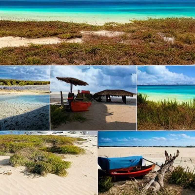 Bazaruto au cœur de l'été : un festival de couleurs et de culture !<h3>Îles Bazaruto : Été Mozambicain, entre soleil et traditions</h3><h3>Mozambique en été : Bazaruto, un enchantement estival</h3><h3>L'été à Bazaruto : Expériences culturelles et escapades paradisiaques</h3><h3>Bazaruto : Soleil, sable et fêtes d'automne - Un été inoubliable au Mozambique</h3><h3>Vacances d'été à Bazaruto : Sécurité et conseils pour un séjour idyllique</h3><h3>Mon expérience à Bazaruto : L'été mozambicain, un voyage au paradis</h3><h3>Bazaruto en été : Au-delà des plages, une immersion culturelle</h3><h3>L'île de Bazaruto, Mozambique : Un été riche en découvertes</h3><h3>Paradis tropical : Bazaruto, l'île qui sublime vos vacances d'été</h3>