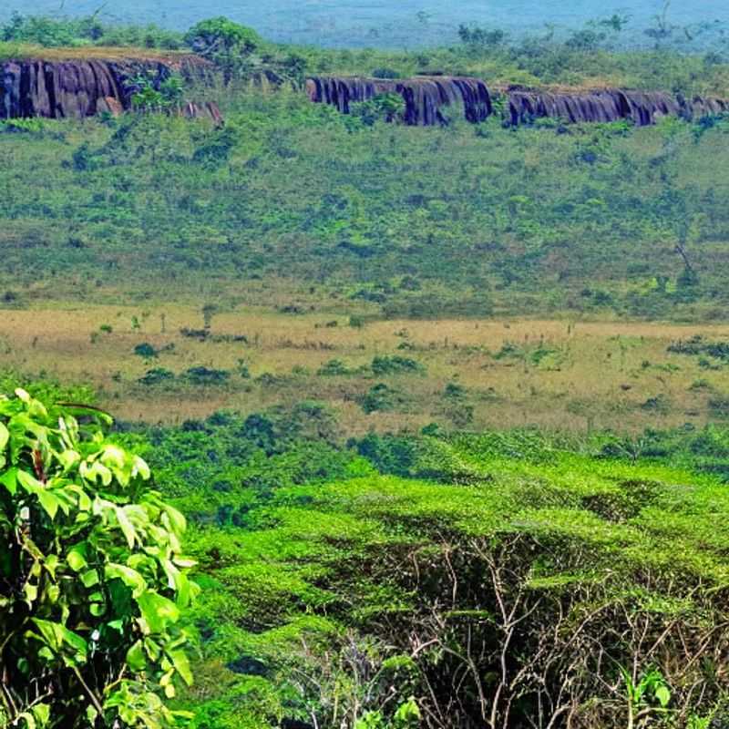 Akagera's Scorching Secrets: Luxury Lodges, Insta-Worthy Views, & Battling the Heat (A Last-Minute Adventurer's Guide)<h3>Sunstroke & Selfies: Finding the Coolest Luxury Spots in Akagera National Park (For the Impatient Explorer)</h3><h3>Rwanda's Red Hot Retreats: Luxury Lodges, Epic Photos, & Beating the Akagera Heatwave (A Guide for the Spontaneous Soul)</h3><h3>Beat the Heat, Not the Safari: Luxury Akagera for the Last-Minute Social Media Star</h3><h3>Akagera's Hidden Oases: Luxury Escapes, Stunning Shots, & Staying Cool in the Rwandan Sun (A Quick Guide for the Adventurous)</h3><h3>Luxury & Lava: Surviving (and Instagramming) Akagera's Extreme Heat (Tips for the Impromptu Traveler)</h3>