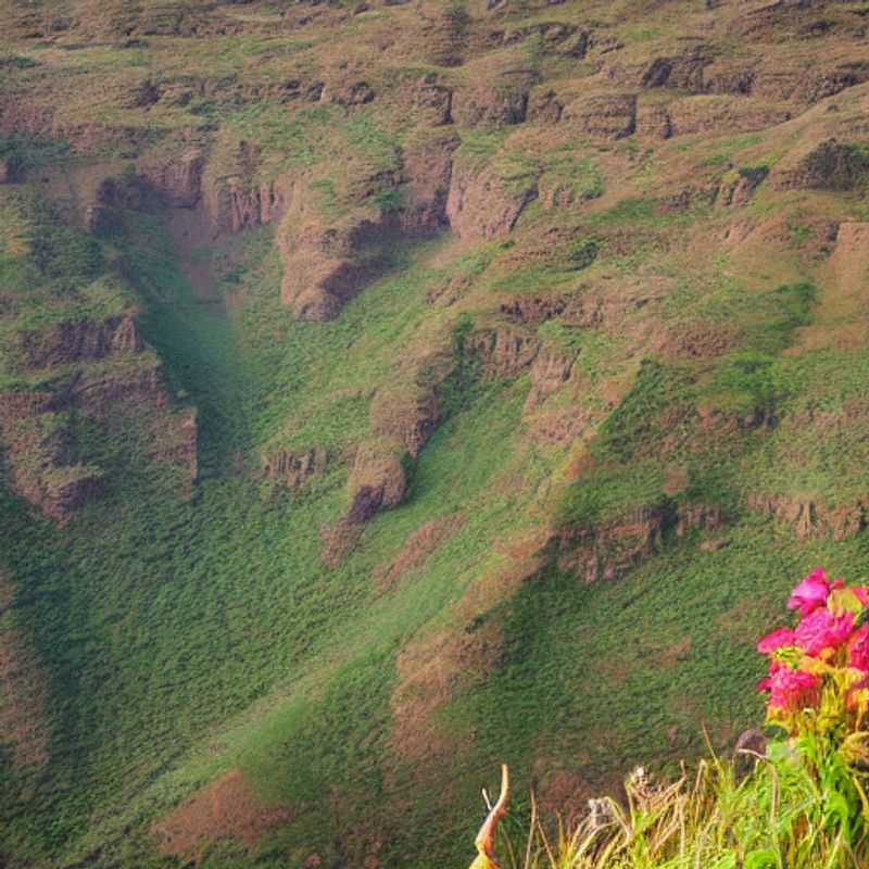 ¿Es el Parque Nacional de las Montañas Simien, Etiopía, ideal para unas vacaciones de verano? Accesibilidad del transporte y consejos para un viaje seguro y económico.<h3>Simien: Un verano en las alturas – Transporte accesible y experiencias auténticas.</h3><h3>Vacaciones de verano en Simien: Superando los desafíos del transporte para descubrir un tesoro etíope.</h3><h3>Moverse por Simien: Guía práctica para un viaje accesible y culturalmente inmersivo durante el verano.</h3><h3>Etiopía en verano: Explorando Simien de forma económica y segura, con énfasis en el transporte.</h3><h3>Simien Mountains National Park en verano: Consejos para un viaje asequible y respetuoso con la cultura local.</h3><h3>El Parque Nacional de Simien y el transporte: ¿Cómo llegar y moverse para una experiencia auténtica y segura en verano?</h3><h3>Descubriendo Simien en verano: Transporte, seguridad y consejos para evitar las trampas turísticas.</h3><h3>Aventuras accesibles en Simien: Planificando un viaje de verano económico y respetuoso con el medio ambiente.</h3><h3>Verano en Simien: Una guía para viajeros con presupuesto limitado que buscan experiencias auténticas (Transporte incluido).</h3>