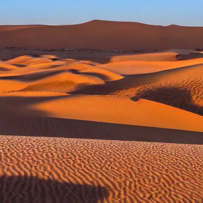 Sahara Sands & Summer Sun: A Camel-Crazy Guide's Take on Desert Delights (or, Why You Might Want to Pack an Oasis in Your Suitcase!)<h3>Morocco & Tunisia in Summer: A Myth-Busting Adventure (and How to Avoid Becoming a Sun-Dried Raisin)</h3><h3>Is the Sahara a Scorcher? My Scorchingly Honest Summer Travel Tips for Morocco & Tunisia</h3><h3>Dodging Dragons & Finding Dates: A Summertime Sahara Survival Guide (with a touch of ancient magic)</h3><h3>The Sahara's Secrets: Unveiling the Truth About Summer Travel (and why I always carry extra sunscreen)</h3><h3>Summer in the Sahara: A Guide for the Brave (and the slightly less brave)</h3><h3>Beyond the Dunes: Uncovering Hidden Gems in Morocco and Tunisia During Summer's Blaze</h3><h3>Heatwave Havoc or Hidden Paradise? My Expert Opinion on a Summer Sahara Trip</h3><h3>Sun, Sand, and Storytelling: A Unique Summer Adventure in Morocco and Tunisia</h3><h3>Festivals & Fun Under the Sahara Sun: A Summer Escape with a Twist (and a few essential safety tips)</h3>