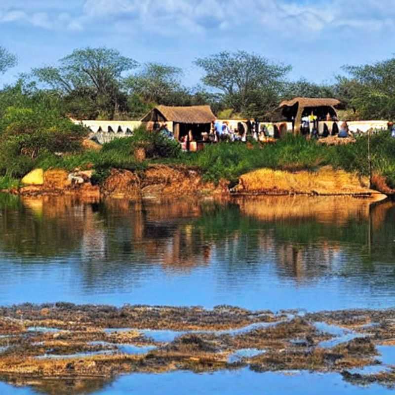Golden hour in Kruger National Park, South Africa: A majestic elephant silhouetted against the vibrant African sunset, embodying the unforgettable wildlife encounters that await during a summer safari.