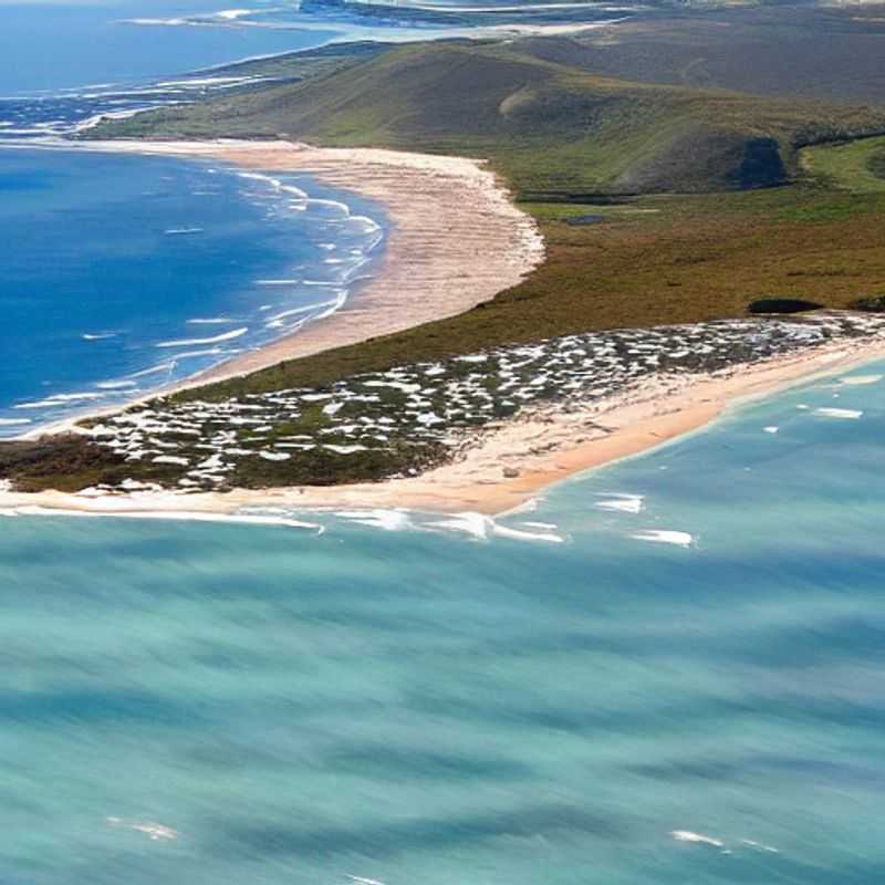 Jambo! Cape Vidal's Luxe Hideaways: Social Media Gold (and Avoiding Those Pesky Strikes!)<h3>Sun, Sand, & Strikes? Navigating Cape Vidal's Luxury for the Group Traveler</h3><h3>Luxury in Cape Vidal: Instagrammable Moments & Strike-Proof Planning for Your Group</h3><h3>Cape Vidal's Finest: Social Media Success & Strike-Free Travel Tips for Groups</h3><h3>Avoiding the Rumble: Luxury Escapes in Cape Vidal Perfect for Group Photoshoots</h3><h3>Luxury Group Travel in Cape Vidal: Stunning Locations & Smart Strategies for Strike Avoidance</h3>