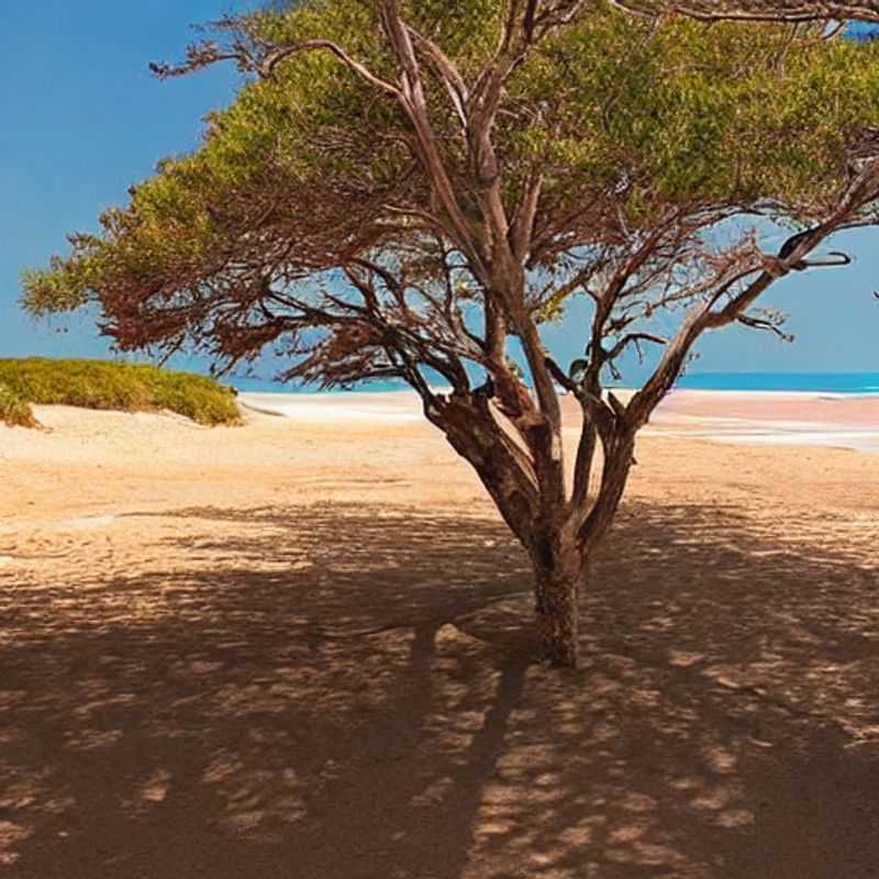 Bazaruto Archipelago in Summer&#58; Sun&#44; Sand&#44; and Savings? A Mozambique Expert's Take<h3>Mozambique's Bazaruto Archipelago&#58; Is Summer the Right Time for Your Budget&#45;Friendly Escape?</h3><h3>Beat the Crowds &#38; the Costs&#58; Exploring Bazaruto Archipelago During the Shoulder Seasons</h3><h3>Bazaruto Archipelago on a Budget&#58; Summer's Secret Charm &#38; How to Maximize Your Experience</h3><h3>Summer in Mozambique&#58; Unveiling Bazaruto's Hidden Gems Without Breaking the Bank</h3><h3>Exploring Bazaruto Archipelago&#58; Avoiding Tourist Traps and Finding Authentic Mozambique</h3><h3>Is Bazaruto Archipelago Too Hot in Summer? A Practical Guide for Budget Travelers</h3><h3>Summer Sun &#38; Savings&#58; Your Guide to a Budget&#45;Friendly Bazaruto Archipelago Adventure</h3><h3>Affordable Mozambique&#58; Exploring the Bazaruto Archipelago Beyond the Peak Season</h3><h3>Bazaruto Archipelago&#58; A Local's Perspective on Summer Travel &#38; Hidden Treasures</h3>