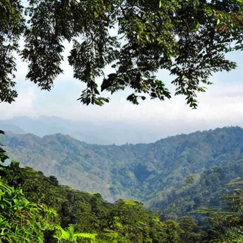 Nyungwe's Nifty Nooks: Where Romance Meets the Wild (and the Perfect Instagram Shot!)<h3>Gorilla Greetings & Glamour Shots: Seasonal Delights in Rwanda's Luxury Lodges</h3><h3>Chasing Chimpanzees & Charming Captions: A Social Media Safari in Nyungwe</h3><h3>Nyungwe's Secret Season: Unveiling the Best Times for Luxury & Likes</h3><h3>From Canopy Walks to Cocktail Hour: Planning Your Romantic Nyungwe Escape (with Insta-Worthy Views!)</h3><h3>Beyond the Big Five: Discovering Nyungwe's Hidden Gems for the Discerning Traveler (and their Followers)</h3><h3>Love is in the Air (and on Instagram): Seasonal Activities for Romantic Souls in Nyungwe</h3><h3>The Myth of the Moonlit Forest: Finding Romance and the Perfect Picture in Nyungwe National Park</h3><h3>A Safari of Selfies: Timing Your Trip to Nyungwe for Maximum Social Media Success (and Romantic Adventures!)</h3><h3>Unlocking Nyungwe's Luxury: Seasonal Events & Experiences for the Romantic Explorer</h3>