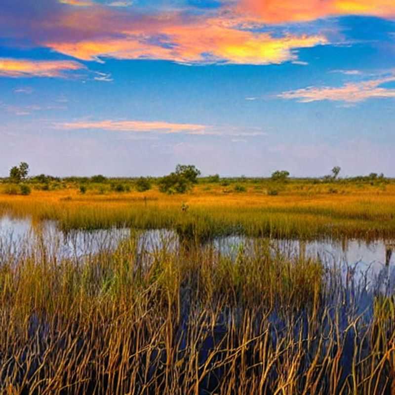 Mercados de Natal e Festividades: Um Abraço Quente no Delta do Okavango?<h3>O Delta do Okavango no Verão: Sol, Boas Vibrações e... Mercados Festivos?</h3><h3>Férias de Verão no Delta do Okavango: Será que o Clima Festa Combina com a Aventura?</h3><h3>Okavango no Verão: Um Refúgio Festivo em Meio à Natureza Selvagem (e Segura!)</h3><h3>Entre Safáris e Festividades: Um Roteiro de Verão no Delta do Okavango</h3><h3>Delta do Okavango: Sol, Safáris e... Surpresas Festivas! (Sim, é Possível!)</h3>