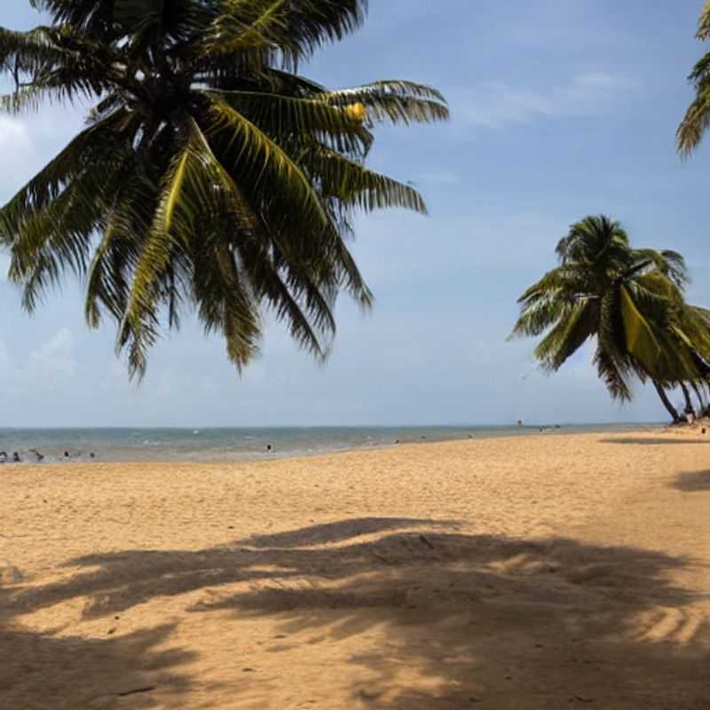 Bénin, Cotonou : Un été sous le charme des plages béninoises<h3>Cotonou en été : Plages et douceur, un séjour inoubliable au Bénin</h3><h3>Soleil et détente à Cotonou : L'été béninois, une invitation au voyage</h3><h3>Escapade estivale au Bénin : Les plages de Cotonou, un trésor à découvrir</h3><h3>Températures douces et plages ensoleillées : Cotonou, la destination idéale pour vos vacances d'été ?</h3><h3>Mon expérience à Cotonou : Plages, chaleur humaine et conseils pour un voyage réussi</h3><h3>Cotonou, l'été autrement : Découverte des plages et immersion culturelle au Bénin</h3><h3>Plages de Cotonou : Oui ou non pour des vacances estivales ? Mon avis d'experte</h3>