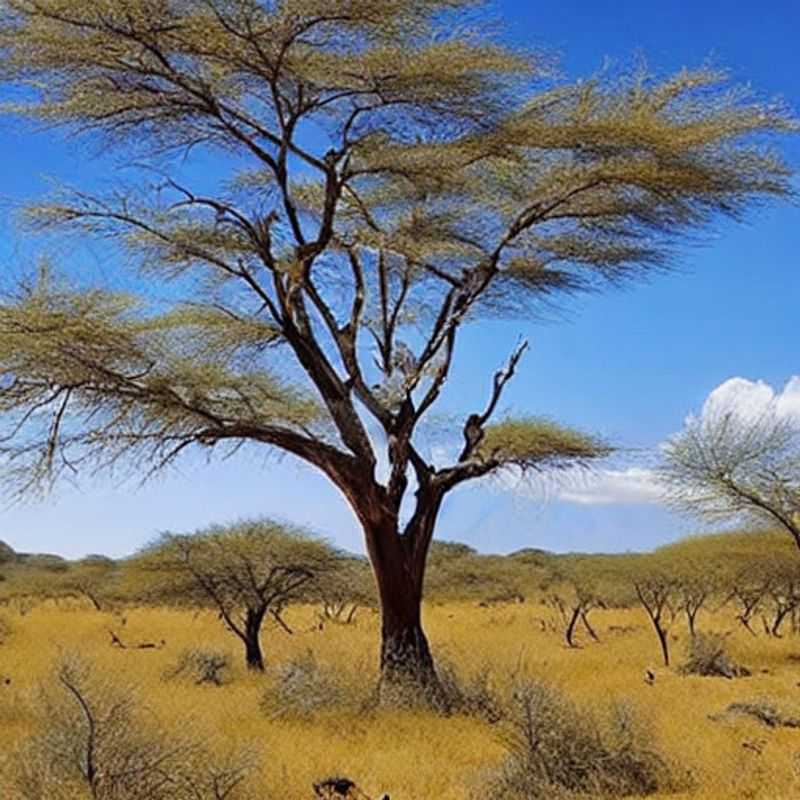 Ruaha in Summer&#58; Fewer Crowds&#44; More Culture? A Tanzanian Adventure<h3>Sun&#45;Kissed Safaris&#58; Is Ruaha National Park the Perfect Summer Escape?</h3><h3>Beyond the Tourist Trail&#58; Uncovering Ruaha's Hidden Gems in the Summer Heat</h3><h3>Tanzania's Summer Secret&#58; Ruaha National Park and the Authentic African Experience</h3><h3>Trading Tourist Throngs for Tanzanian Tales&#58; Ruaha in the Summer Months</h3><h3>The Ruaha Revelation&#58; Why Summer Might Be the Best Time to Visit</h3><h3>Beating the Tourist Rush&#58; A Summer Safari Adventure in Ruaha National Park</h3><h3>Summer in Ruaha&#58; A Local's Perspective on Tanzania's Untamed Heart</h3>