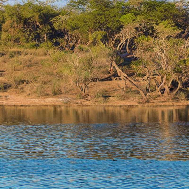 Chobe no Verão&#58; Calor Intenso e Aventuras Incríveis &#45; Vale a Pena Visitar?<h3>Chobe em Julho&#58; Um Guia para Sobreviver ao Calor e Explorar o Parque com Segurança</h3><h3>Ondas de Calor em Chobe&#58; Dicas Essenciais para uma Viagem Segura e Econômica no Verão</h3><h3>Safari em Chobe no Verão&#58; Como Evitar as Armadilhas Turísticas e Desfrutar de Experiências Autênticas</h3><h3>Botswana em Julho&#58; Um Roteiro para Explorar Chobe com Sabedoria&#44; Segurança e Pouca Grana</h3><h3>Descubra Chobe no Verão&#58; Conselhos de um Guia Local para uma Viagem Incrivelmente Autêntica</h3><h3>Chobe no Calor&#58;  Equilibrando o Conforto com a Imersão na Cultura Local</h3><h3>A Magia de Chobe no Verão&#58;  Explorando a Natureza Selvagem com Segurança e Respeito à Cultura</h3><h3>Planejando sua Viagem a Chobe no Verão&#58;  Dicas para uma Experiência Inesquecível e Acessível</h3><h3>Sobrevivendo ao Calor em Chobe&#58;  Dicas Práticas e Conselhos de um Guia Local Experiente</h3>