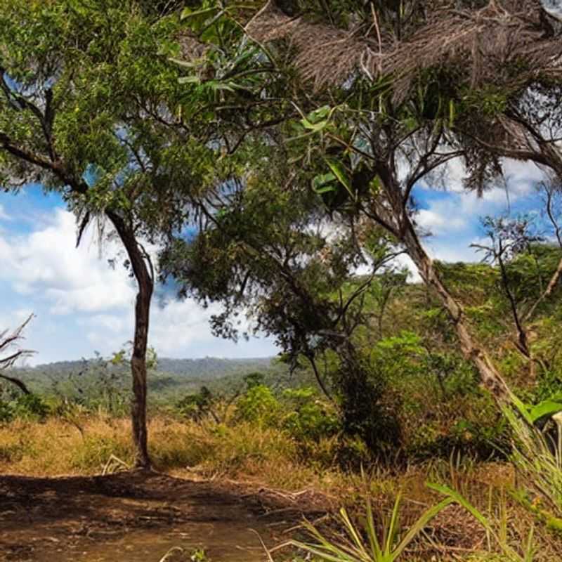 Paysage époustouflant du Parc National d'Isalo, Madagascar, sous le soleil d'été : est-ce l'endroit idéal pour vos vacances ? Explorez ses canyons, ses piscines naturelles et ses formations rocheuses uniques.