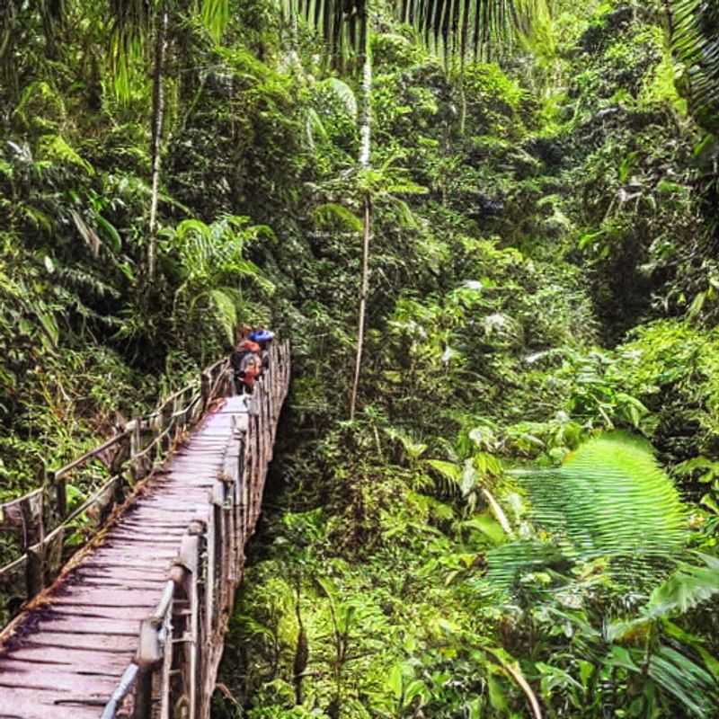 Vacances d'été au Parc National de Loango &#58; Prix réduits pour un safari inoubliable !<h3>Loango en été &#58; Mystères&#44; légendes et... bonnes affaires ! (Safari à prix réduit)</h3><h3>Safari au Gabon &#58; Loango&#44; le parc national qui défie le budget (et les moustiques !)</h3><h3>Chasse aux aubaines &#58; Loango vous attend cet été ! (Hébergements et vols à prix cassés)</h3><h3>Le mystère de Loango révélé... à prix réduit ! (Vacances estivales abordables)</h3>