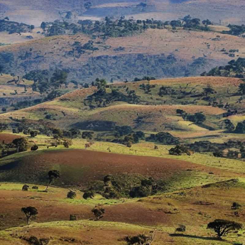 Le Plateau Nyika au Malawi : Un été ensoleillé ? Heures de lumière et aventures humaines !<h3>Nyika Plateau, Malawi : Soleil estival, histoires malawites et escapades sûres !</h3><h3>Vacances d'été sur le Plateau Nyika : Combien de soleil ? (Et des rencontres inoubliables !)</h3><h3>Malawi, été indien : Explorer le Plateau Nyika en toute sécurité et profiter du jour !</h3><h3>Le Plateau Nyika : Un été au Malawi sous le signe de l'aventure humaine et du soleil !</h3>