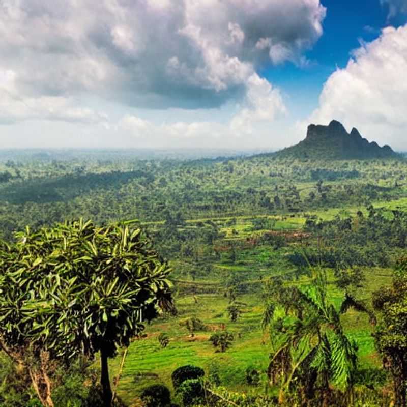 Multidões em Atrações Turísticas Populares: Desvendando os Segredos para uma Viagem Tranquila<h3>Monte Elgon, Uganda/Quênia: Um Refúgio de Verão Inesquecível?</h3>