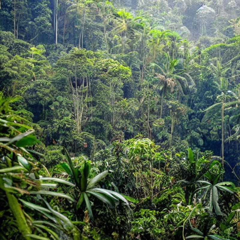 Bwindi Impénétrable : Paradis Instagrammable pour des Vacances d'Été Inoubliables ?<h3>Bwindi Impénétrable en été : Couleurs vibrantes et clichés parfaits pour Instagram</h3><h3>Safari photographique à Bwindi : L'Impénétrable sous son meilleur jour cet été</h3><h3>La forêt impénétrable de Bwindi : un écrin vert pour vos photos d'été</h3><h3>Capturer la magie de Bwindi : Guide Instagram pour des vacances estivales inoubliables en Ouganda</h3><h3>Bwindi Impénétrable : Sécurité et beauté pour vos photos d'été parfaites</h3><h3>Vacances estivales en toute sécurité à Bwindi : Conseils et astuces pour des photos Instagram époustouflantes</h3><h3>Explorez Bwindi en toute sérénité : Conseils pour un voyage estival sécurisé et riche en photos</h3>