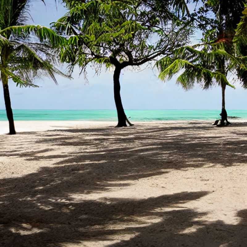 Paraíso tropical! Areias brancas e águas cristalinas aguardam em Pemba, Tanzânia - o destino perfeito para umas férias de verão inesquecíveis. Descubra se Pemba é o refúgio ideal para si!