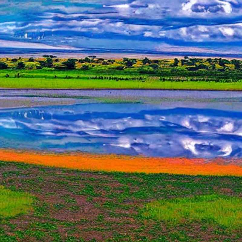Flamencos rosados tiñendo el lago Nakuru, Kenia, de un vibrante color en verano: ¡descubre si este paraíso es tu destino ideal para las vacaciones! (Pink flamingos painting Lake Nakuru, Kenya, in vibrant color in the summer: discover if this paradise is your ideal vacation destination!)
