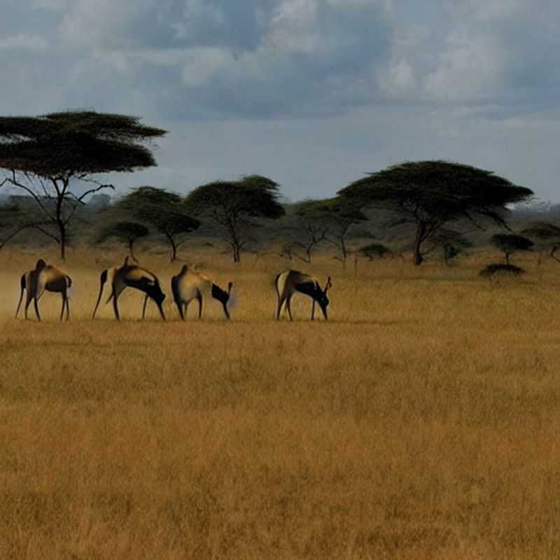 Nairobi em Julho&#58; Um Safari de Verão Inesquecível!<h3>Sol&#44; Safári e Segurança&#58; Planeando sua Viagem de Verão a Nairobi</h3><h3>Nairobi no Verão&#58; Descubra a Magia da Vida Selvagem com Tranquilidade</h3><h3>Parque Nacional de Nairobi no Verão&#58; Perguntas Frequentes e Dicas Essenciais</h3><h3>Aventura Segura e Divertida&#58; Seu Guia para um Safari de Verão em Nairobi</h3><h3>O Calor do Safari&#58; Aproveitando o Verão em Nairobi com Segurança e Alegria</h3><h3>Nairobi no Verão&#58; Evitando Multidões e Desfrutando da Natureza</h3><h3>Coisas Incríveis para Fazer em Nairobi Durante o Verão (e dicas de segurança!)</h3><h3>Desvendando Nairobi no Verão&#58; Um Roteiro Seguro e Enriquecedor</h3><h3>Um Verão Africano&#58; Conforto&#44; Emoção e Safáris em Nairobi</h3>