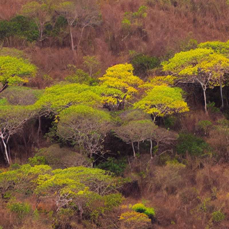 Canyons sculptés par le temps à Isalo, Madagascar, révélant un paysage unique. Découvrez si ce joyau est adapté à vos vacances d'été ! (Isalo National Park, Madagascar)