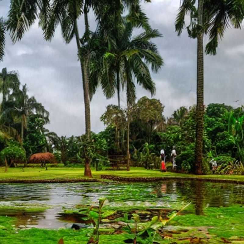 Plus de soleil, plus de visites : le Jardin botanique d'Entebbe est-il idéal pour vos vacances d'été ?<h3>Entebbe en été : profitez des longues journées pour explorer le jardin botanique !</h3><h3>Vacances d'été à Entebbe : le Jardin botanique, une oasis de sérénité et d'exploration</h3><h3>Explorer le Jardin botanique d'Entebbe : conseils pour un voyage économique et authentique</h3><h3>Voyage responsable et économique au Jardin botanique d'Entebbe : découvrez les secrets de l'Uganda</h3><h3>Été en Uganda : au-delà des sentiers battus, découvrez la beauté cachée du Jardin botanique d'Entebbe</h3><h3>Le Jardin botanique d'Entebbe : une escapade estivale riche en culture et en histoire</h3><h3>Conseils pratiques pour visiter le Jardin botanique d'Entebbe : sécurité, budget et immersion culturelle</h3><h3>Voyagez malin en Uganda : explorez le Jardin botanique d'Entebbe sans vous ruiner</h3><h3>Entebbe et son Jardin botanique : un été inoubliable hors des sentiers touristiques</h3>