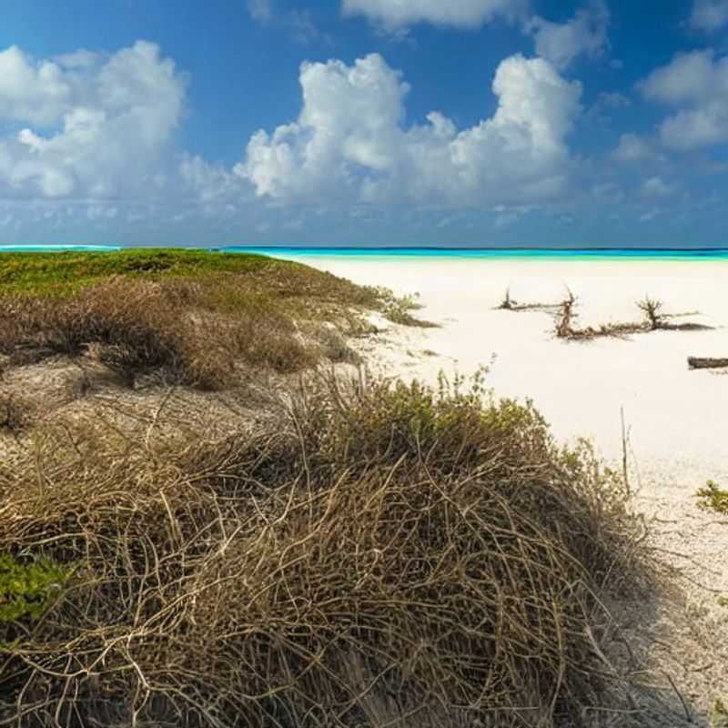 Bazaruto Archipelago : Paradis Instagrammable ? Le Guide Aventurier Dévoile Ses Secrets!<h3>Mozambique Luxueux : Chasse aux Likes dans l'Archipel de Bazaruto ! (Conseils de Sécurité Inclus)</h3><h3>Mystères & Millionaires : Le Meilleur des Spots Sociaux au Bazaruto (Expédition VIP !)</h3><h3>Safari Numérique : Découvrir le Bazaruto, entre Légendes et Filtres Instagram</h3><h3>L'Archipel de Bazaruto : Où la Beauté Sauvage Rencontre la Gloire des Réseaux Sociaux</h3><h3>Secrets du Bazaruto : Le Guide Ultime pour le Voyageur Connecté (et Prudent !)</h3><h3>Au Cœur du Mozambique : Une Odyssée Digitale dans l'Archipel de Bazaruto</h3><h3>Le Bazaruto pour les Influenceurs : Entre Luxe, Mythes et Conseils de Sécurité</h3>