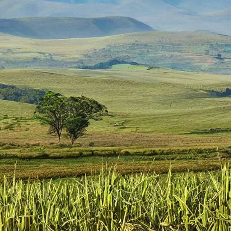 Le plateau de Nyika au Malawi : une escapade estivale au cœur de paysages automnaux ?<h3>Nyika Plateau, Malawi : Vacances d'été, oui, mais attention aux feuilles d'automne !</h3><h3>Escapade estivale au Malawi : le plateau de Nyika, un choix judicieux ?</h3><h3>Découvrir le Plateau de Nyika au Malawi en été : conseils d'un expert pour un voyage sûr et économique</h3><h3>Le Plateau de Nyika : hors des sentiers battus pour des vacances estivales authentiques au Malawi</h3><h3>Malawi : Éviter les pièges à touristes sur le plateau de Nyika et découvrir son véritable charme</h3><h3>Voyage au Malawi : Le plateau de Nyika, une alternative estivale riche en culture et en histoire</h3><h3>Conseils pratiques pour un voyage sûr et économique sur le plateau de Nyika au Malawi</h3><h3>Immersion culturelle au cœur du plateau de Nyika : au-delà des sentiers touristiques</h3><h3>Explorer le Plateau de Nyika : un itinéraire économique pour des vacances estivales mémorables au Malawi</h3>