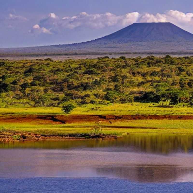 Akagera National Park in Summer: A Kaleidoscope of Colour and Wildlife!<h3>Rwanda's Summer Jewel: Is Akagera National Park the Perfect Holiday Escape?</h3><h3>Sun-Kissed Safaris: My Akagera Summer Adventure (and Why You Should Join Me!)</h3><h3>Beyond the Green: Akagera National Park's Summer Transformation & Your Safe Safari Guide</h3><h3>Chasing the Summer Sun in Rwanda: Exploring Akagera's Changing Foliage</h3><h3>Akagera National Park: A Summer Safari Dream – Safety Tips & Unforgettable Moments</h3><h3>Rwanda's Hidden Gem: Why Akagera National Park is Ideal for a Summer Getaway</h3><h3>Summer in Akagera: A Personal Journey Through Rwanda's Breathtaking Landscapes</h3><h3>The Majestic Beauty of Akagera: Planning Your Summer Safari in Rwanda</h3><h3>From Emerald to Gold: Akagera's Summer Hues & Your Ultimate Travel Checklist</h3>