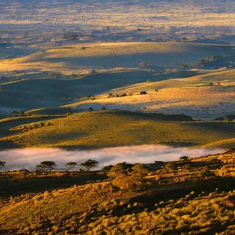 Le Plateau Nyika au Malawi : Un Paradis Accessible pour des Vacances d'Été ?<h3>Nyika Plateau, Malawi : Accessible et Magique pour vos vacances estivales ?</h3><h3>Vacances d'été au Malawi : Le Plateau Nyika, une destination accessible à tous ?</h3><h3>Accessible et enchanteur : Le Plateau Nyika pour un été inoubliable au Malawi</h3><h3>Découverte du Plateau Nyika, Malawi : Accessibilité et conseils pour des vacances estivales réussies</h3><h3>Le Plateau Nyika : Un Été Accessible au Cœur du Malawi</h3><h3>Malawi : L'incroyable Plateau Nyika, accessible et idéal pour les vacances d'été ? Mon expérience...</h3><h3>Voyage accessible au Plateau Nyika, Malawi : Conseils et récits d'une experte</h3><h3>Explorez le Plateau Nyika, Malawi : Accessibilité et charme pour vos vacances estivales</h3><h3>Un été au Malawi : L'accessibilité du Plateau Nyika et ses merveilles</h3>