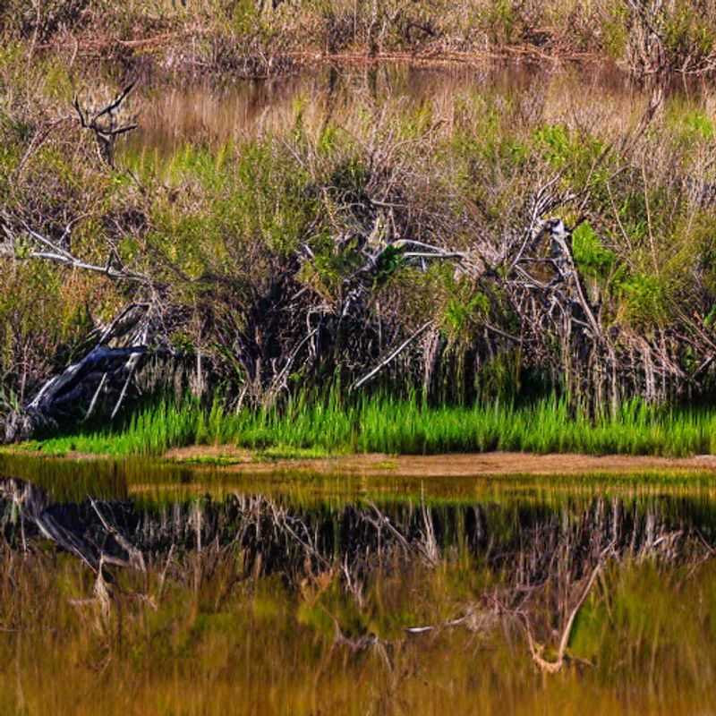 Okavango Delta no Verão: Preços Baixos e Aventuras Inesquecíveis!<h3>Delta do Okavango em Julho/Agosto: Um Refúgio de Verão com Preços Incríveis?</h3><h3>Sol, Safári e Economia: O Delta do Okavango no Verão Vale a Pena?</h3><h3>Botswana em Julho: Descubra o Okavango com o seu Bolso Feliz!</h3><h3>Aventura no Delta do Okavango: Verão, Preços Reduzidos e Histórias para Contar!</h3><h3>Descubra o Okavango sem Gastar uma Fortuna: Seu Verão Africano Aguarda!</h3><h3>Delta do Okavango: Uma Viagem de Verão Acessível e Cheia de Magia!</h3><h3>Safáris de Luxo com Preço de Economia: O Delta do Okavango no Verão</h3>